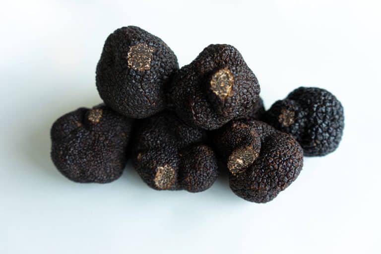 Tout Savoir Sur Le Tuber Aestivum Ou Truffe D T Charentes Truffes